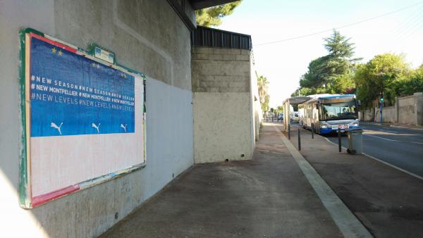 Puma fait briller les étoiles de Montpellier Handball !