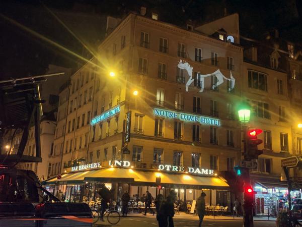 Purina fête la Saint Félix comme jamais auparavant !