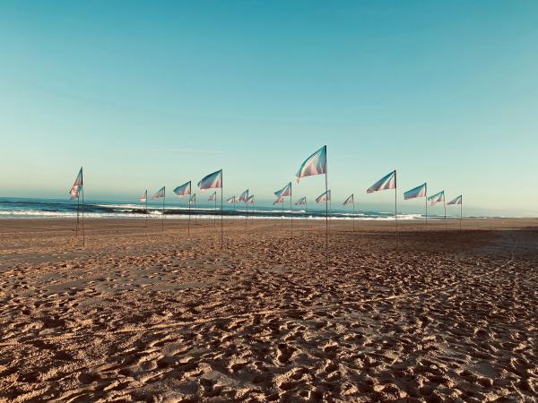 The horizon underlines the infinite with Saint Laurent