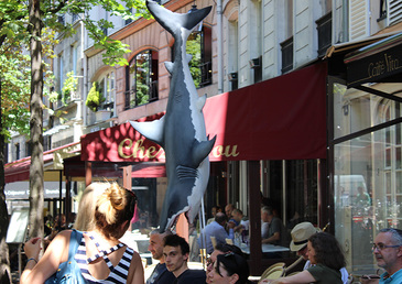 Attention requins à Paris