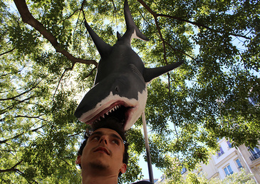 Attention requins à Paris