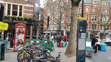 An international display