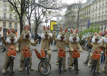 Une chasse aux œufs digitale