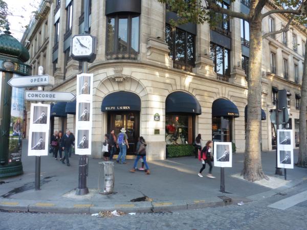 Un esthétisme de haut vol pour une maison de haute-couture