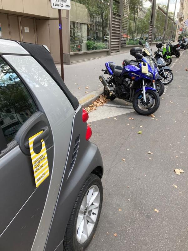 Les courses depuis son canapé en 10 minutes !