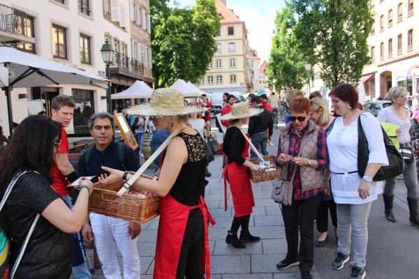 Responsable Communication et Marketing - Naturalia