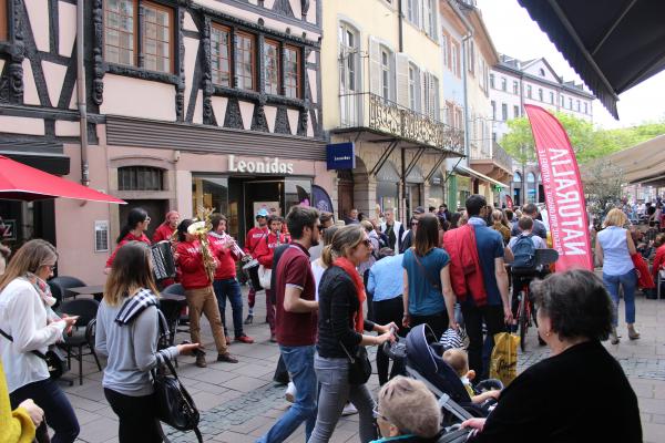 Responsable Communication et Marketing - Naturalia